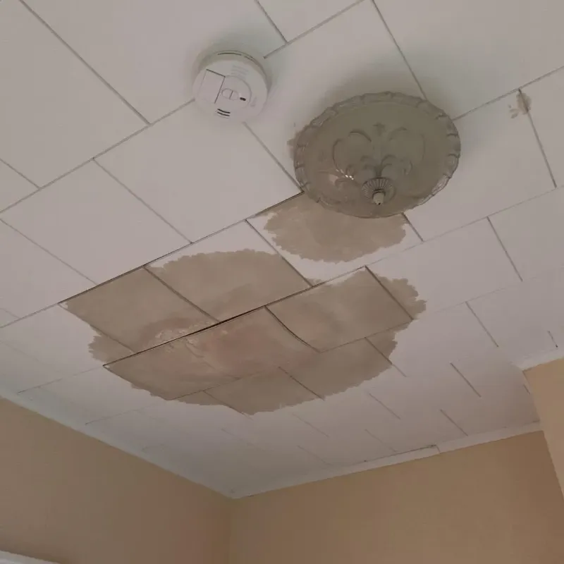 Ceiling Water Damage Repair in Moorestown-Lenola, NJ