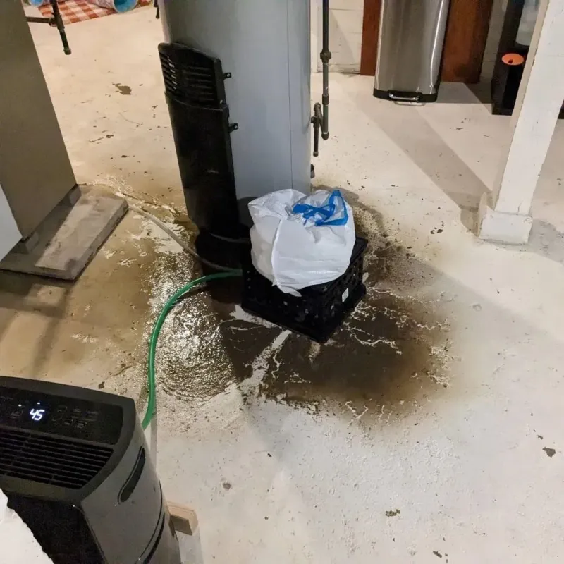 Sewage Backup Cleanup Service in Moorestown-Lenola, NJ